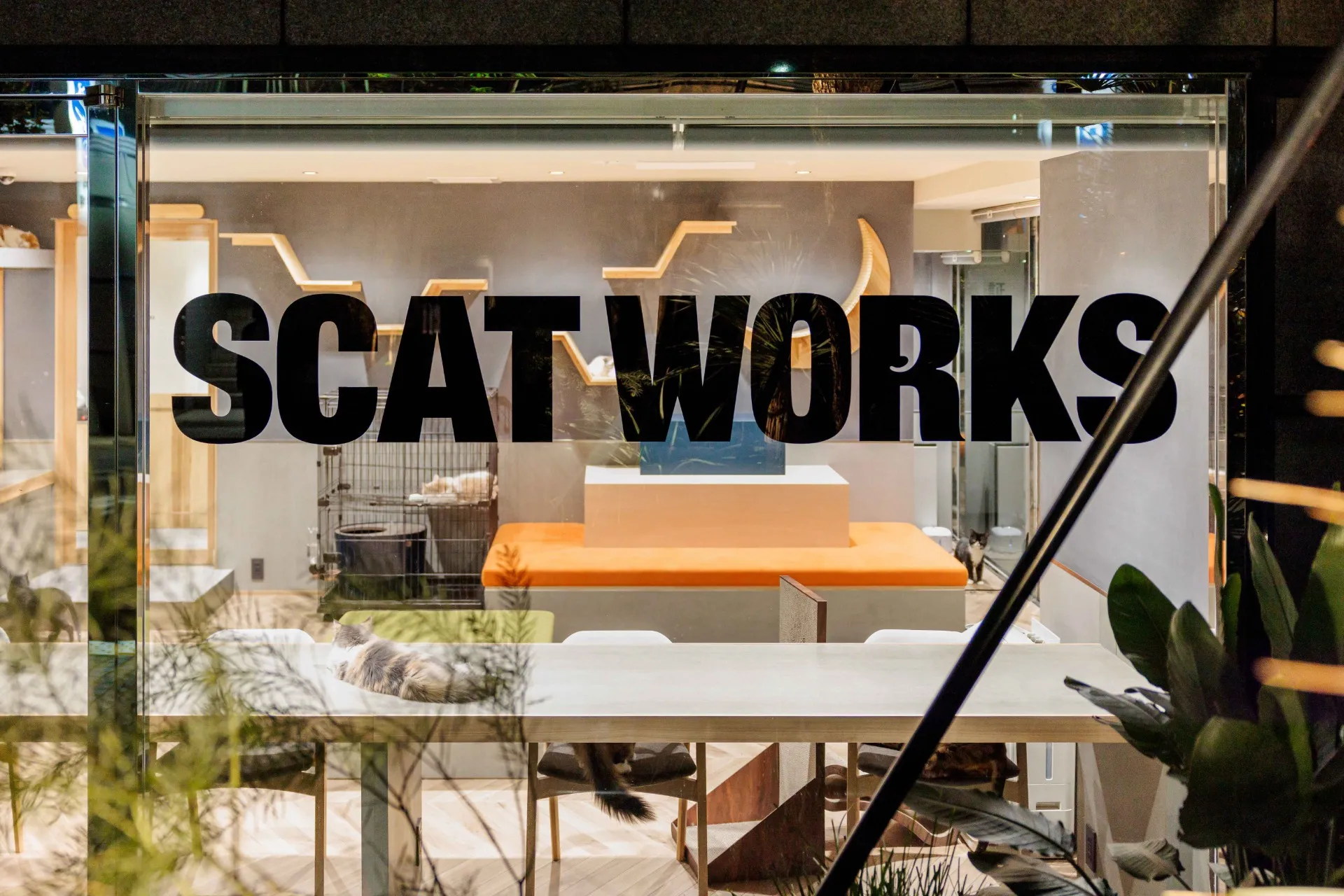 SCAT WORKS